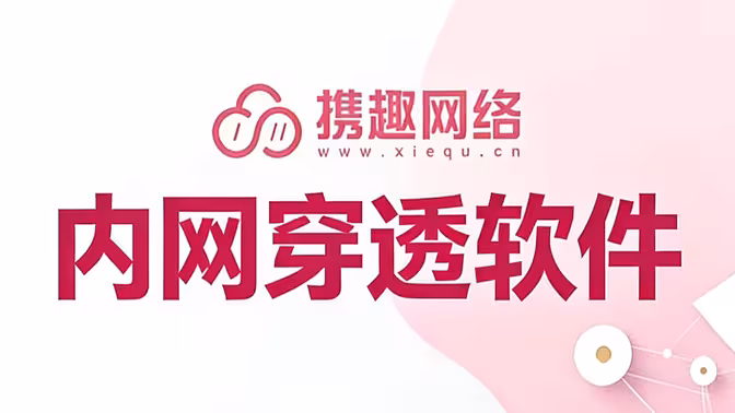 科技美学 内网穿透工具横评