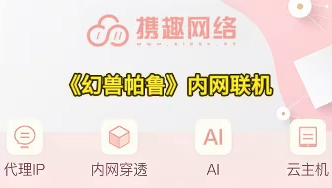 趣穿透内网联机