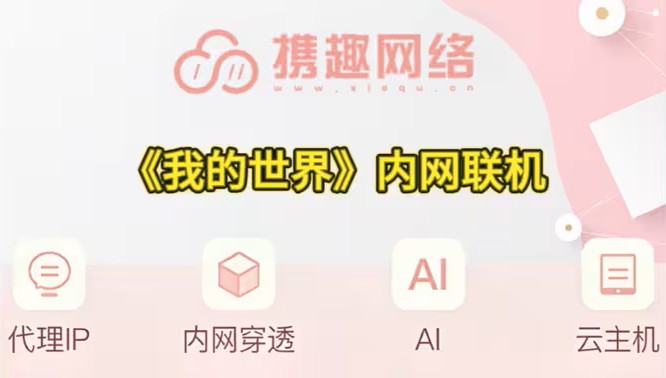 趣穿透内网联机